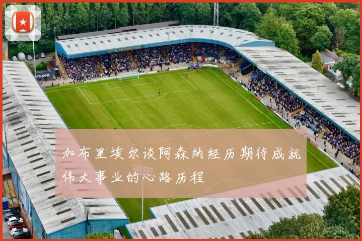 加布里埃尔谈阿森纳经历期待成就伟大事业的心路历程